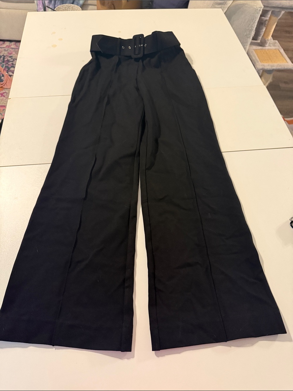 Boston Proper - High-Waist Black Wide-Leg Belted Pants